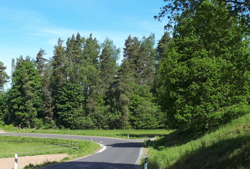 Gemeindeverbindungsstraße Pleisdorf